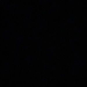 Meet your Posher, Peyton